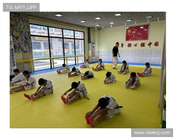 零基础入门跆拳道全程教学提升实用技巧与身体素质指导