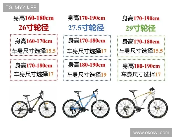 适合初学者的骑行入门指南选择合适装备与技巧提升骑行体验