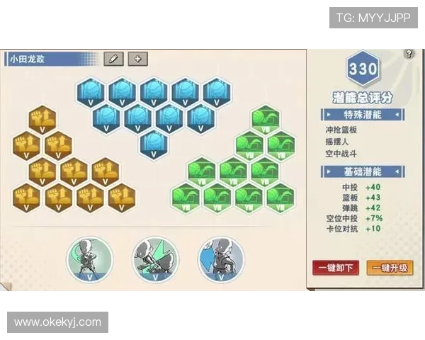 从新手到高手的排球装备全面选购与实用推荐指南技巧解析清单合集